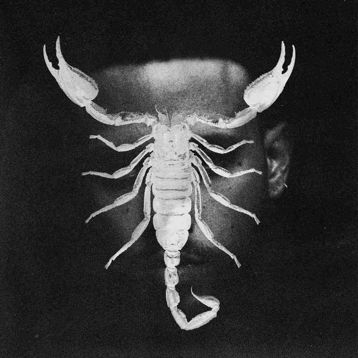 Scorpio